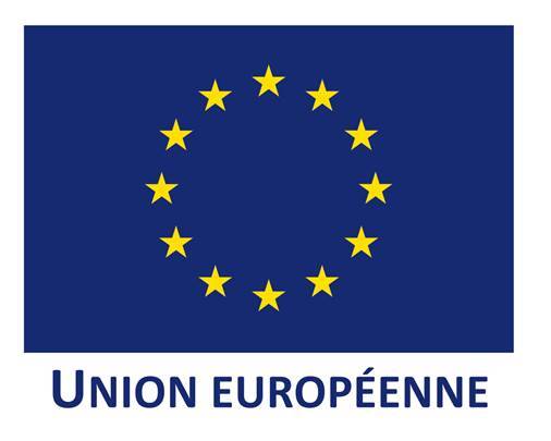 logo de l'UE