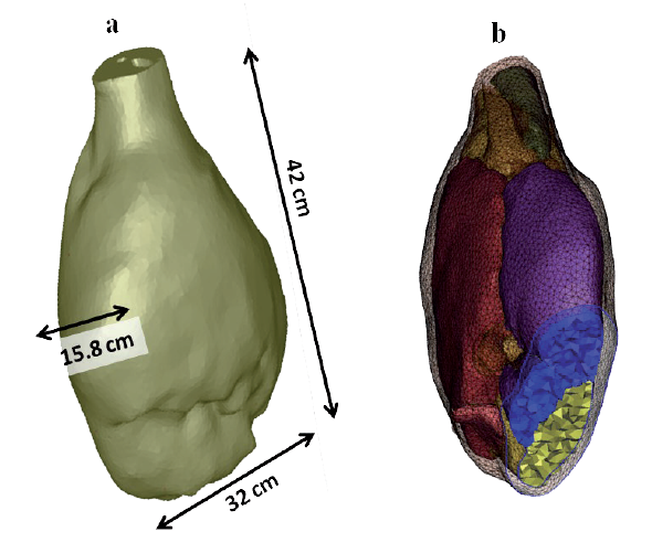 jambon numérique