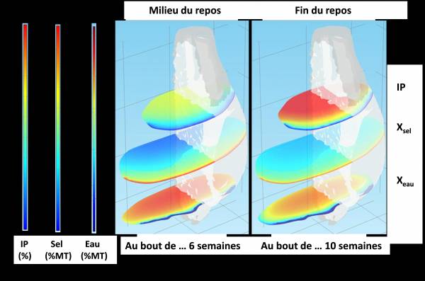 jambon numérique