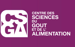 logo du CSGA